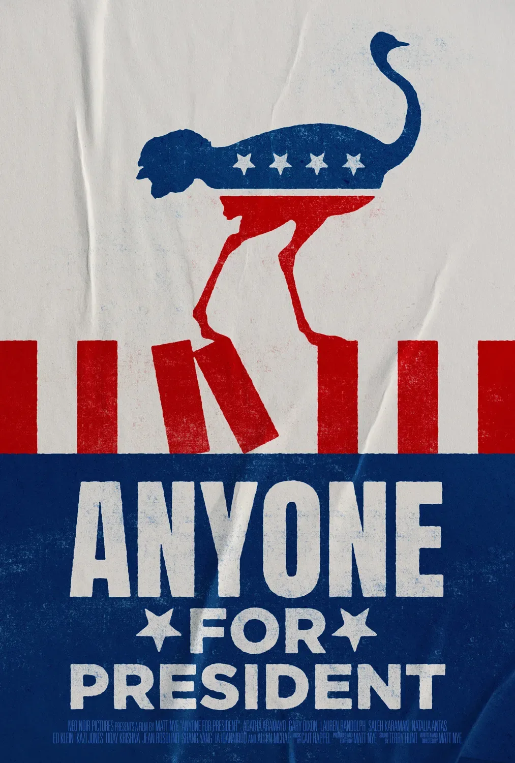 Anyone For President